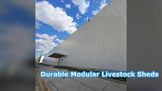 Modular Steel Livestock Sheds Durable Ventilated Barns